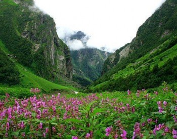valley of flower national park