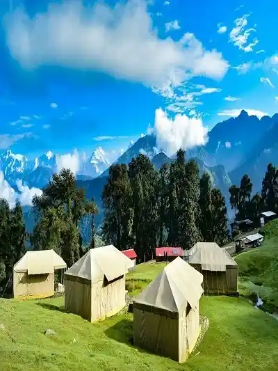 Chopta Valley Camp