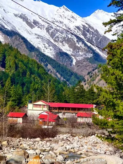 Hotel Himalayan Nature Resort