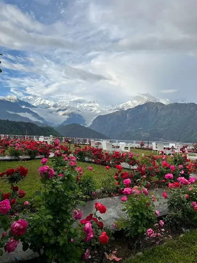 Hotel Buransh Heli Resort stay