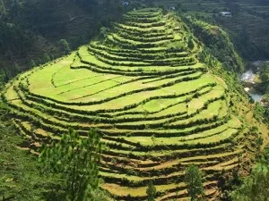 Explore Ranikhet The Queen Meadow