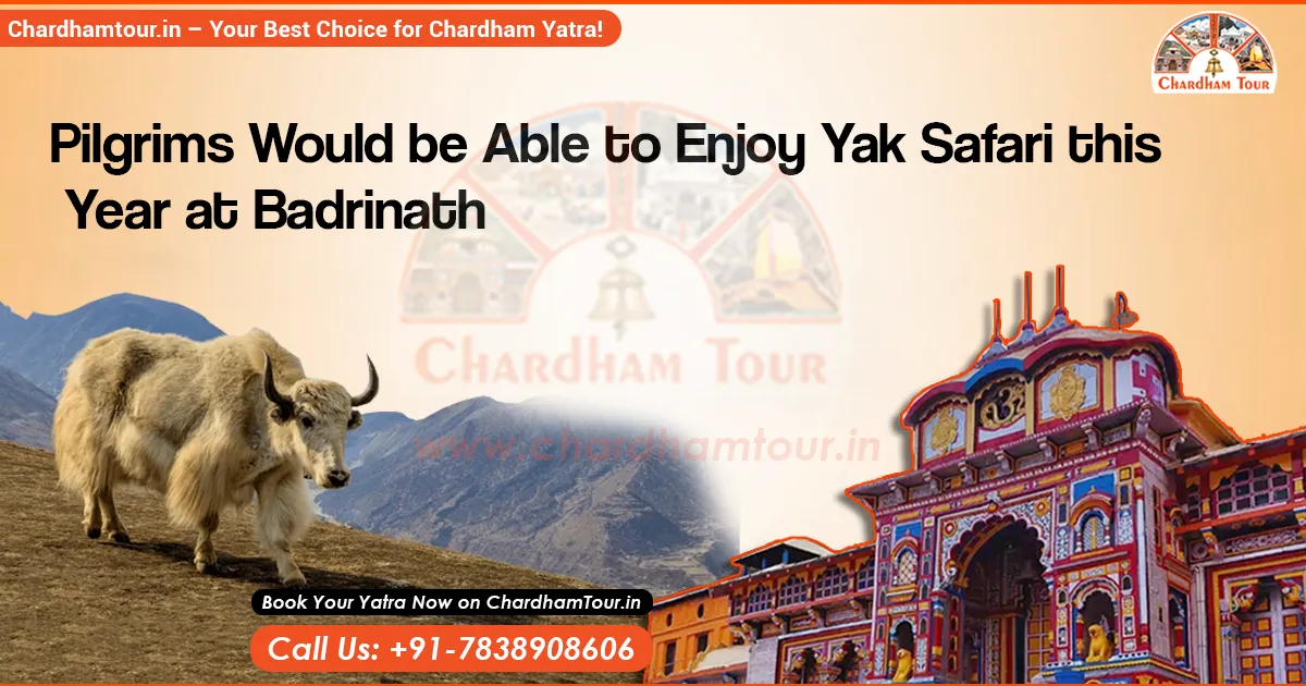Badrinath Yatra on Yak Route in Uttarakhand Pilgrims traveling to Badrinath Dham on yaks in Uttarakhand