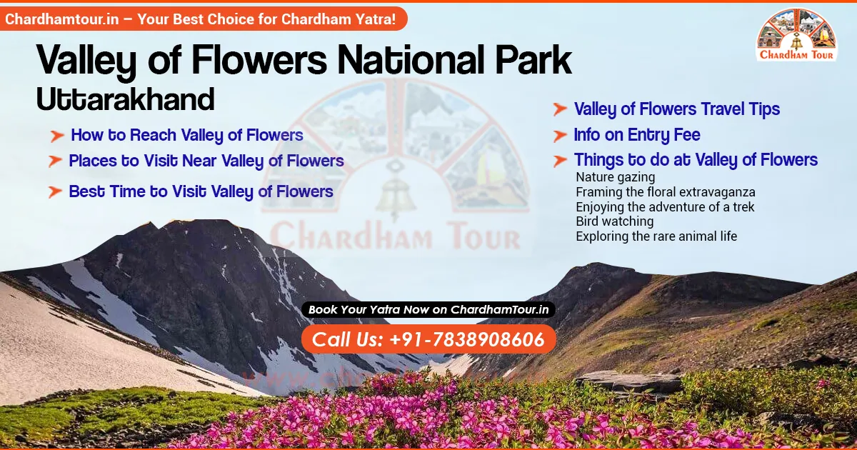 Valley of Flowers National Park Uttarakhand in full bloom
