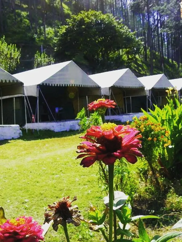 Hotel Camp Veda with scenic views