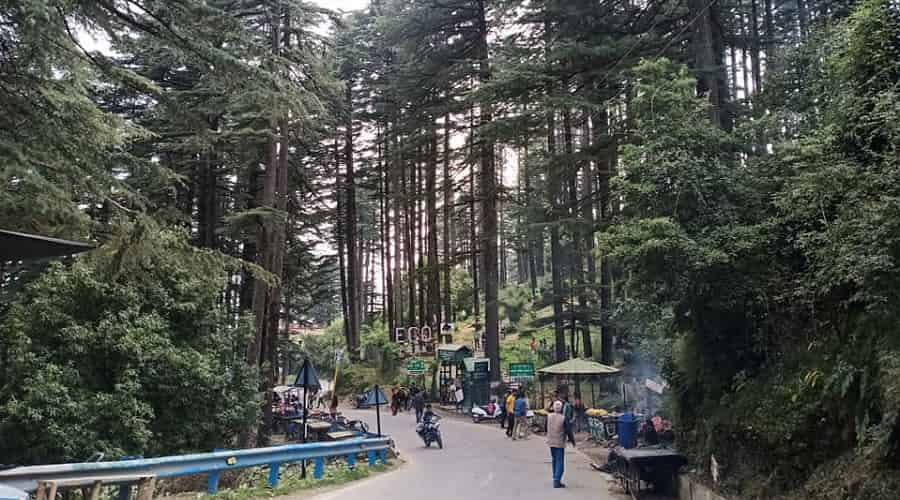 Dhanaulti, Uttarakhand