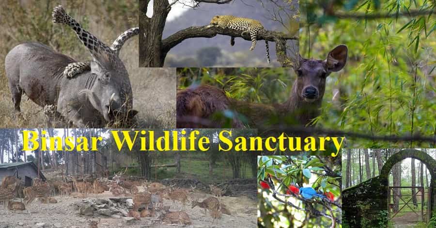 Binsar Wildlife Sanctuary 