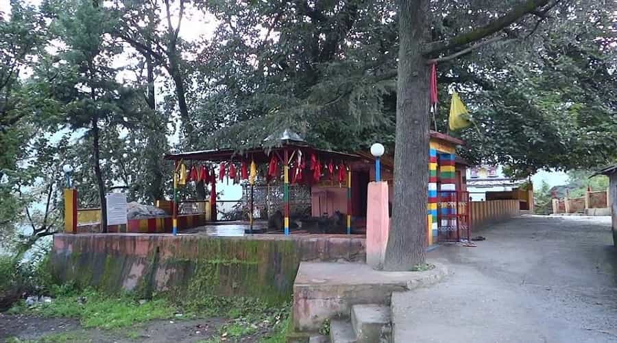 Kalpavriksha Tree, Joshimath