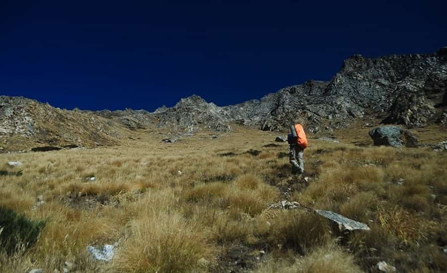 Nanda Devi National Park