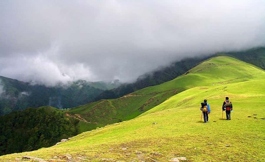 Ali Bugyal