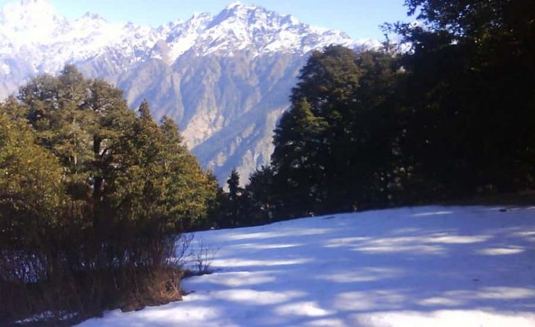 Bugyals in Uttarakhand - A Guide to the Himalayan Meadows