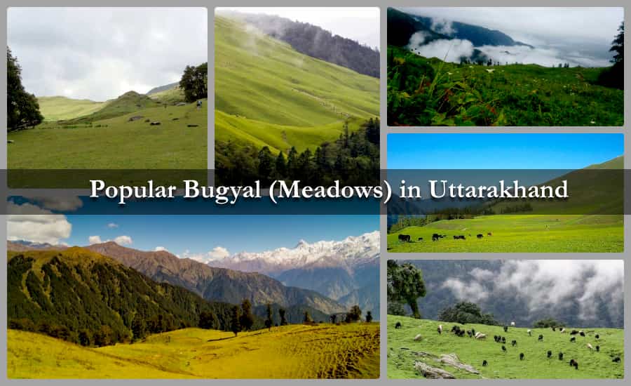 Popular Bugyal (Meadows) in Uttarakhand
