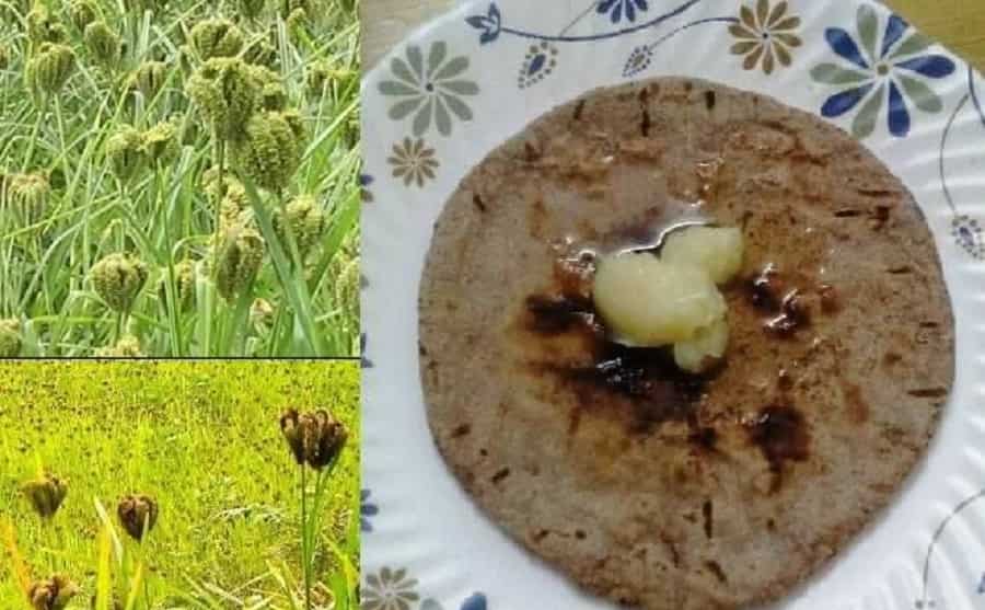 Ghee Sankranti Festival