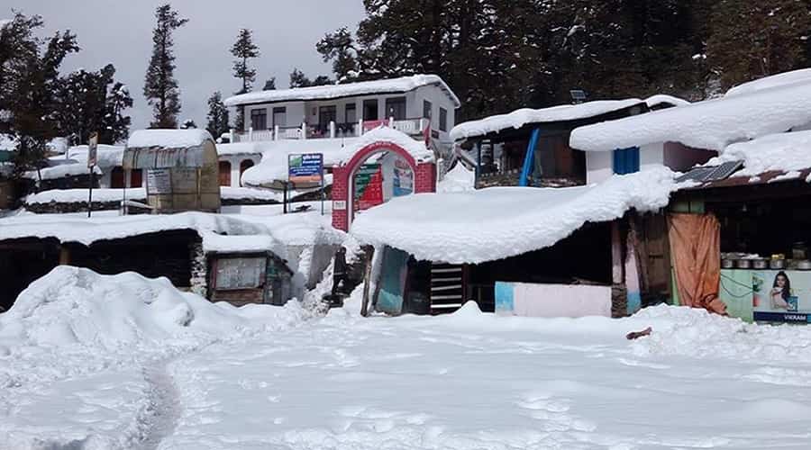 Chopta after Snowfall