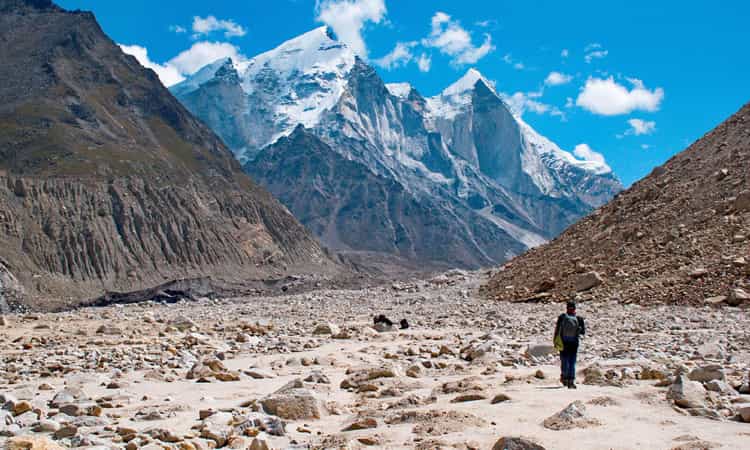 Gangotri Glacier Trek