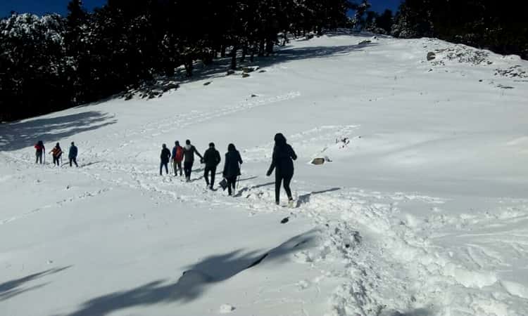 Nag Tibba Trek