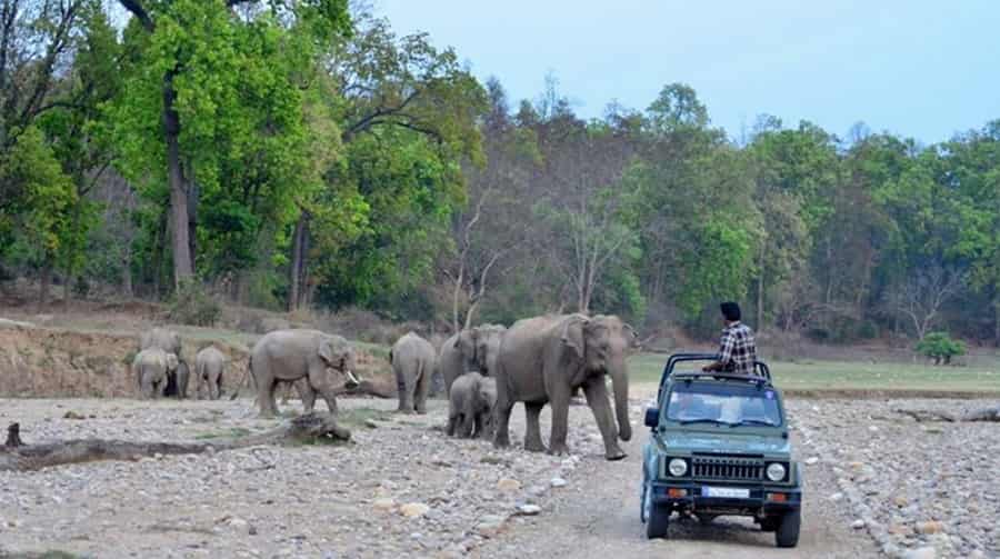 Rajaji National Park
