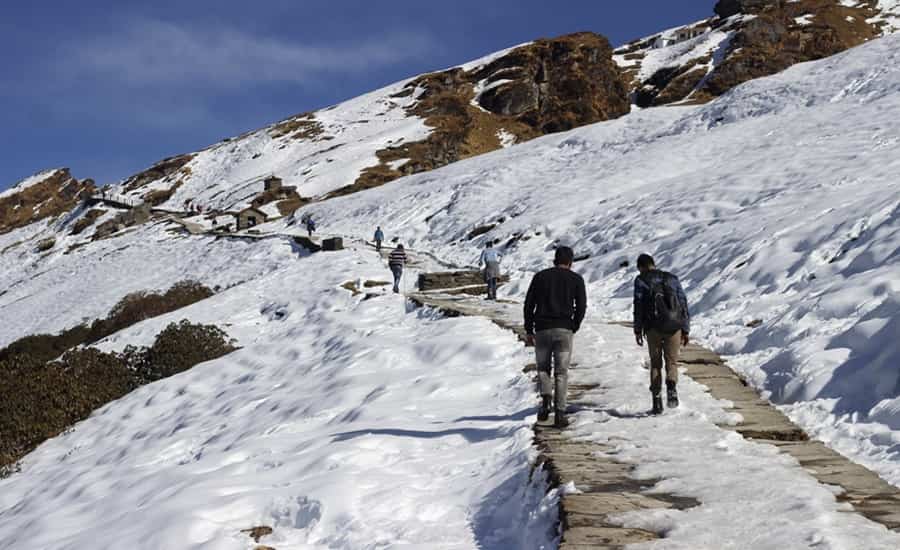 Chopta-Tungnath- Chandrashila Trek