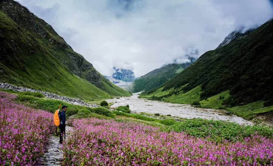 The Valley of Flowers Trek