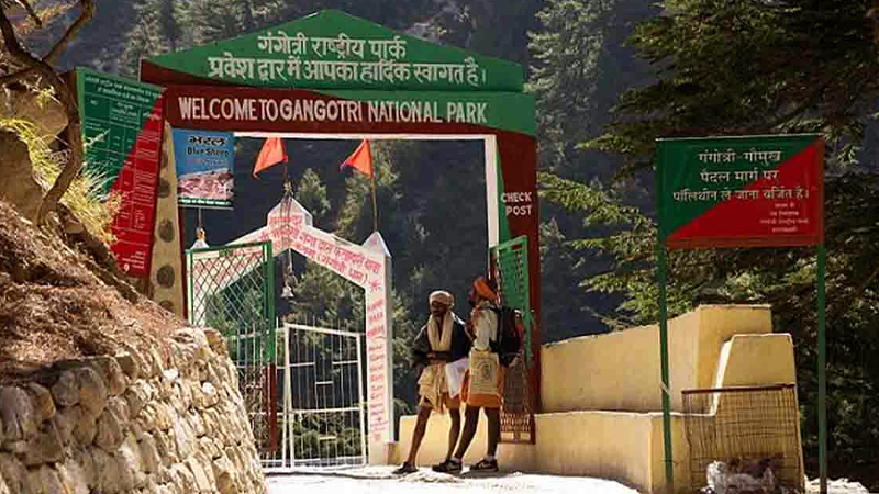 The gates of the world famous Gangotri National Park have been opened for tourists from today.