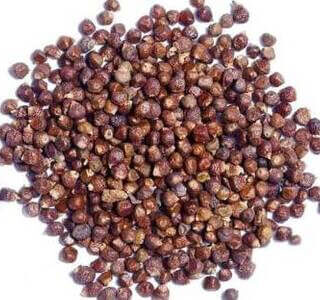 Organic Timur Seed