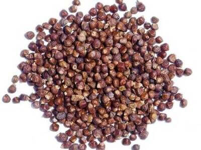 Organic Timur Seed