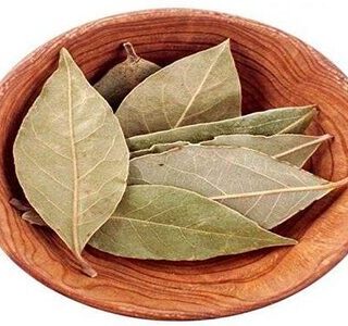 Tej Patta By Leaf Cinnamomum