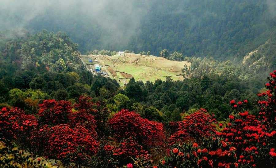 Chopta during april month