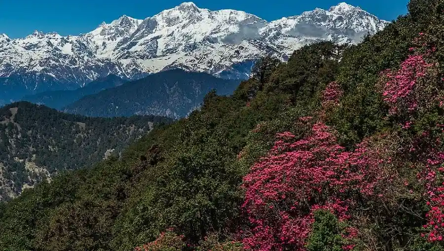 Chopta during april month 