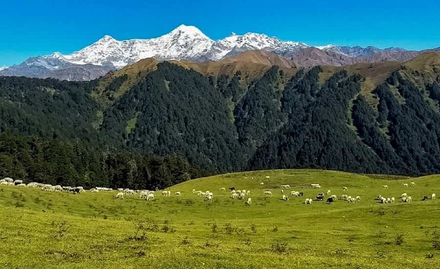 Dayara Bugyal Trek