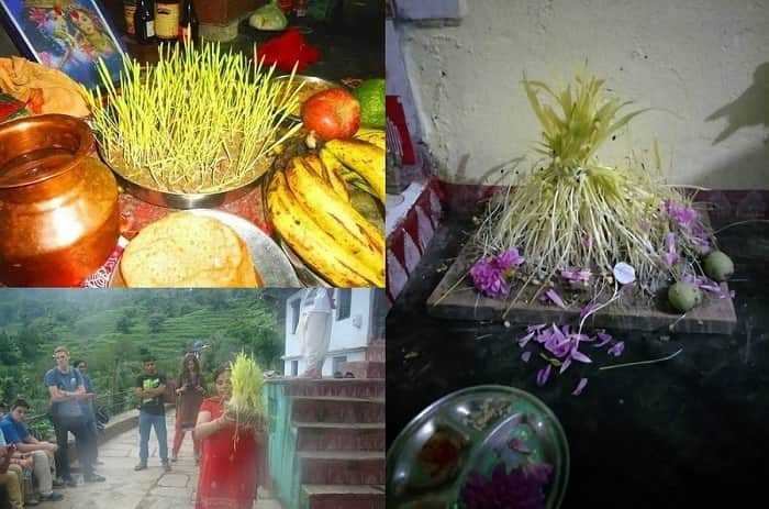 Harela Festival Of Uttarakhand