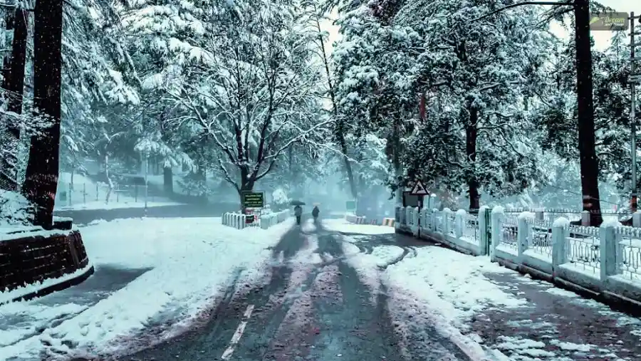 Snowfall in Ranikhet