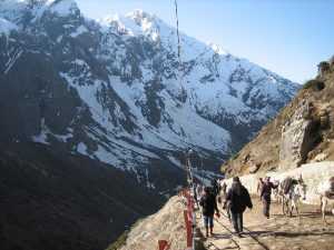 kedarnath trek