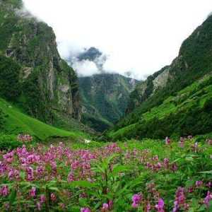 Valley of Flowers & Hemkund Sahib Trek Package