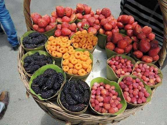 Fruits of Uttarakhand