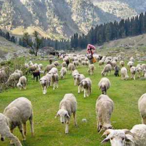 Mukhba is Glorified by the Arrival of Ganga Mata in Winters