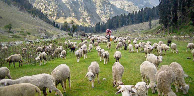 Places in Yamunotri