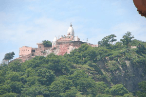 mansa devi temple