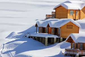 Auli Tour Package