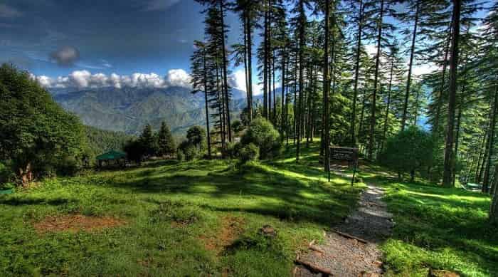 Dhanaulti Tours