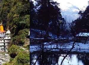 8 Days Yamunotri Dodital Trek Package