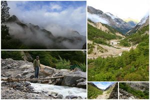 Gangotri Gaumukh Trek