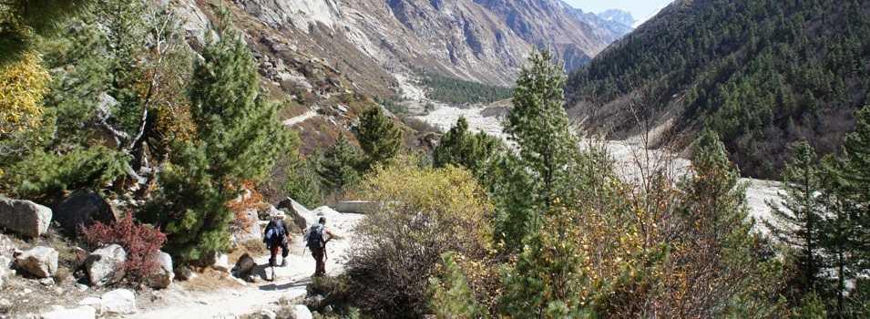 Gangotri Gaumukh Trek Route