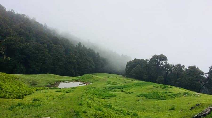 Gurso Bugyal, Auli