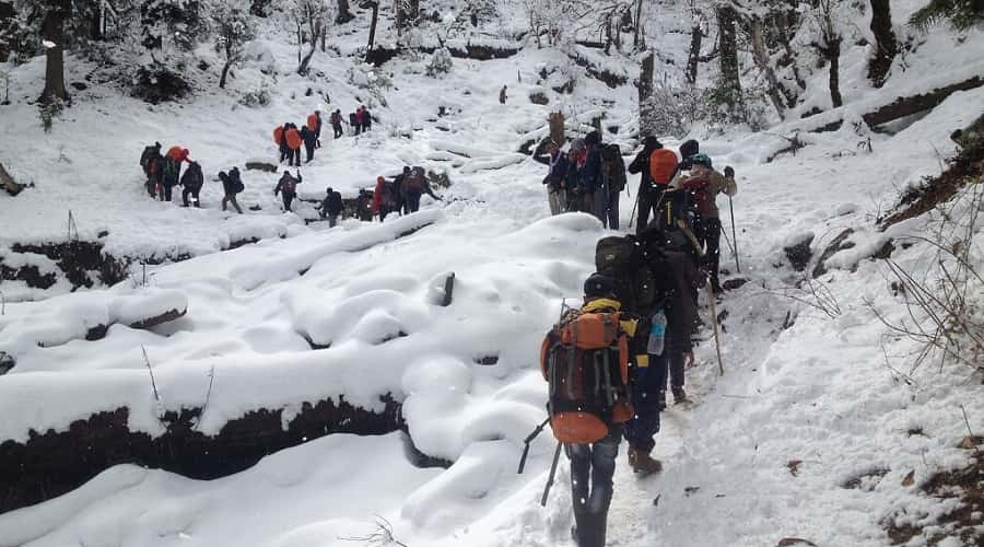 Winter Trek Auli