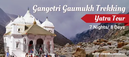 Gangotri Gaumukh Trekking