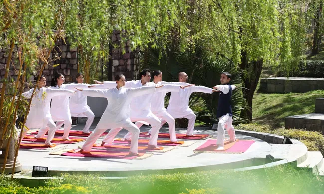 Ananda In The Himalayas Package