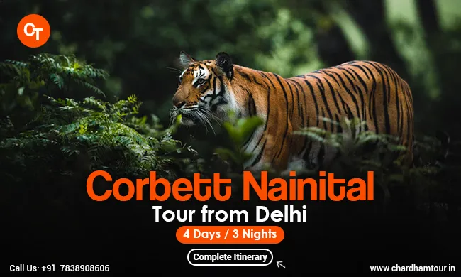 Corbett Nainital Tour Package from Delhi