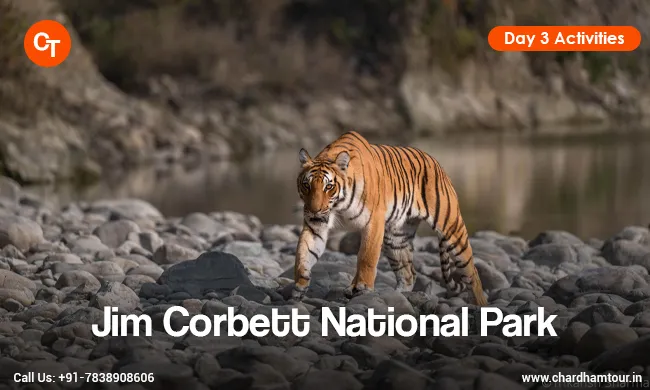 Corbett Nainital Tour Package from Delhi
